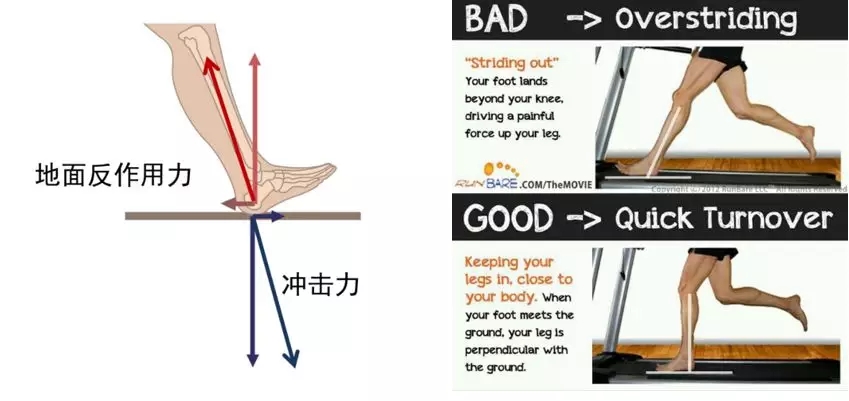 z6com·尊龙(中国)时凯集团