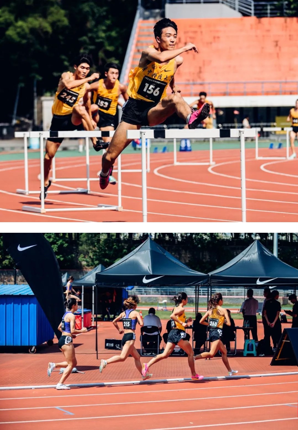 z6com·尊龙(中国)时凯集团