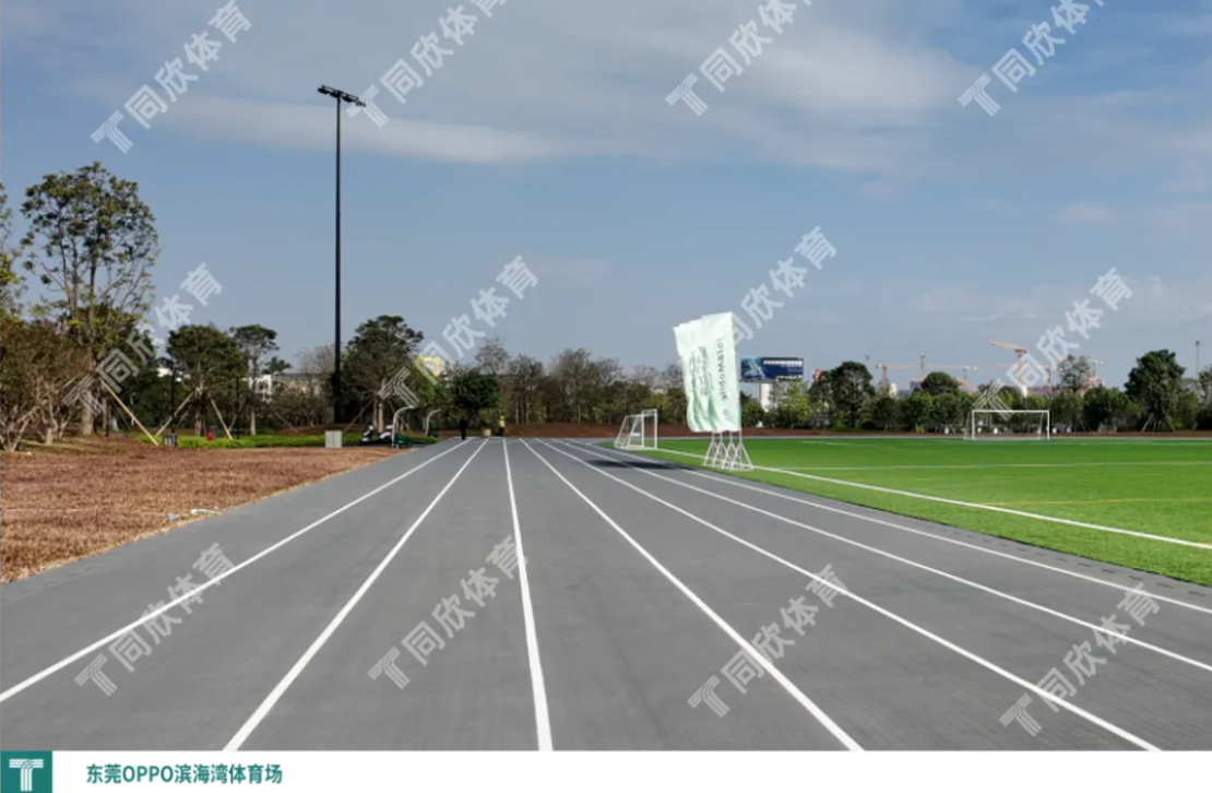 z6com·尊龙(中国)时凯集团