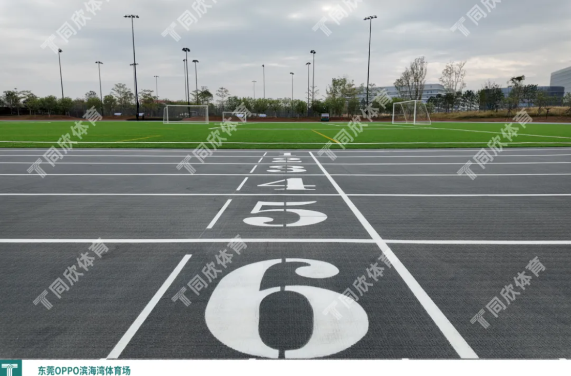 z6com·尊龙(中国)时凯集团