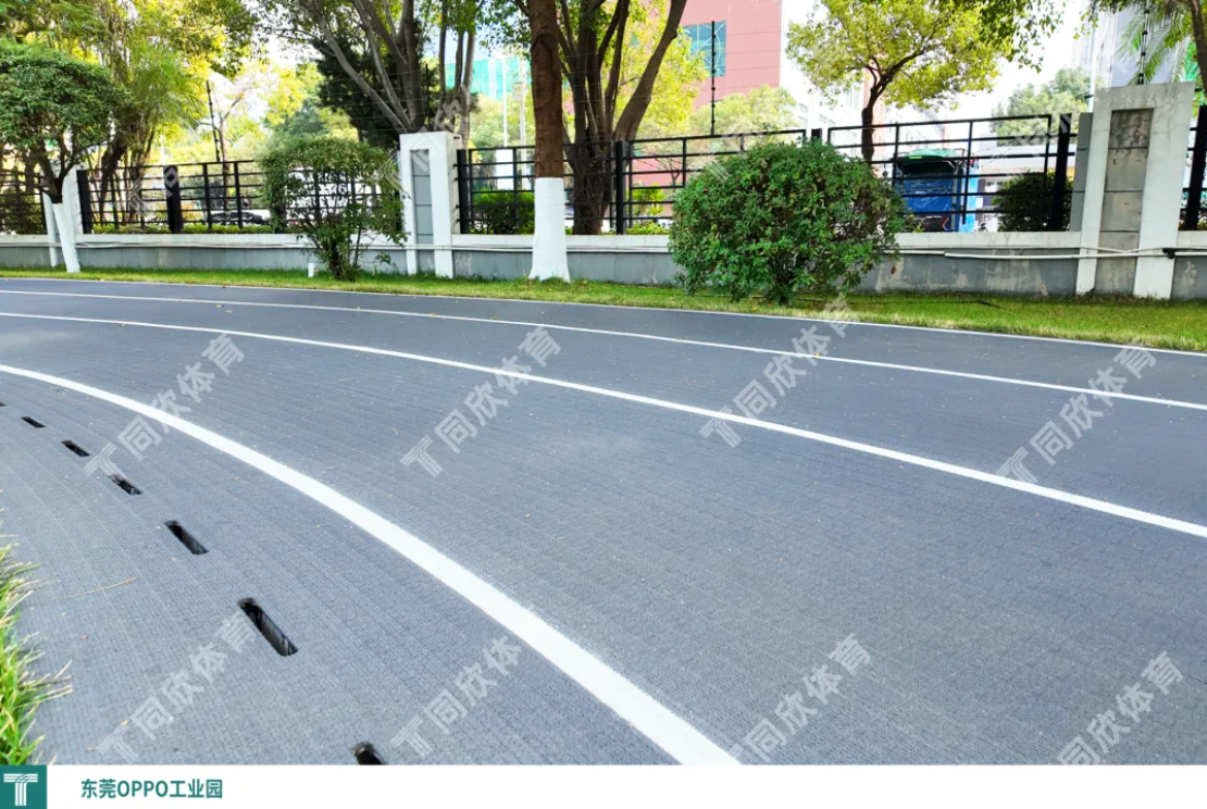 z6com·尊龙(中国)时凯集团