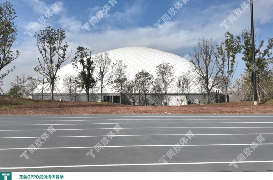 z6com·尊龙(中国)时凯集团